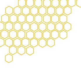 honeycomb seamless pattern berbères honey food nature