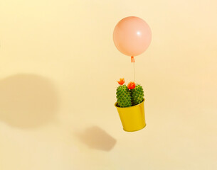 Minimal concept green cactus with orange flowers and pastel pink balloon. Creative idea on beige background.