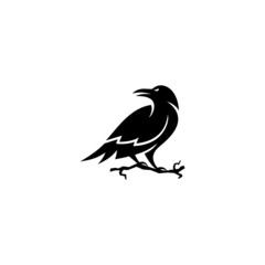 Raven bird logo design.