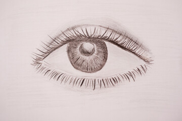 Pencil eye drawing. Black and white image of the eye.