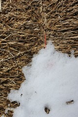 White snow laying on a bale of hay down on the farm.