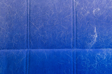 Fototapeta premium Dog hair on the car seat. The concept of seasonal molting of pets, caring for dogs and cats at home.