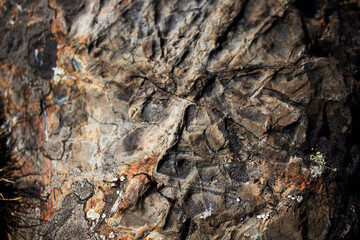 Fototapeta premium Rocky background. Grunge rock. Fragments of stones. Selective focus.