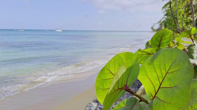 Quiet and remote Caribbean beach with boats on turquoise water; Punta Popy