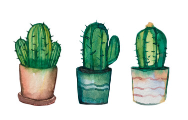 Set of 3 watercolor pots with cacti. Hand drawn watercolor set. Cacti for decorative cards.