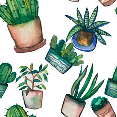 Seamless pattern on a white background. Flowers in pots succulents and cacti, packaging. Hand-drawn in watercolor. Packaging, decor. Home decorations.