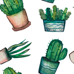 Seamless pattern on a white background. Flowers in pots succulents and cacti, packaging. Hand-drawn in watercolor. Packaging, decor. Home decorations.