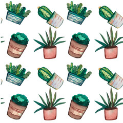 Seamless pattern on a white background. Flowers in pots succulents and cacti, packaging. Hand-drawn in watercolor. Packaging, decor. Home decorations.