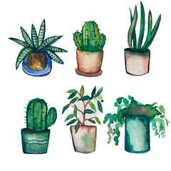Set of 6 watercolor pots. Hand drawn watercolor set. Cactus, succulents and other plants.