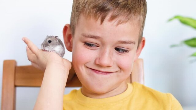 Boy playing with hamster at home. Hamster is washing
