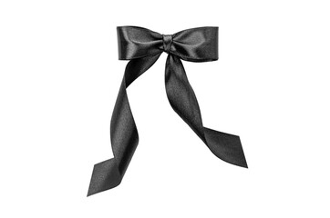 The bow is black on a white background. Beautiful texture.