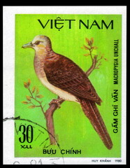 Postage stamp issued in the Vietnam with the image of the Barred Cuckoo-dove, Macropygia unchall. From the series on Doves, circa 1981