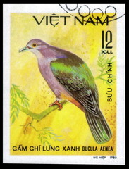 Postage stamp issued in the Vietnam with the image of the Green Imperial pigeon, Ducula aenea. From the series on Doves, circa 1981