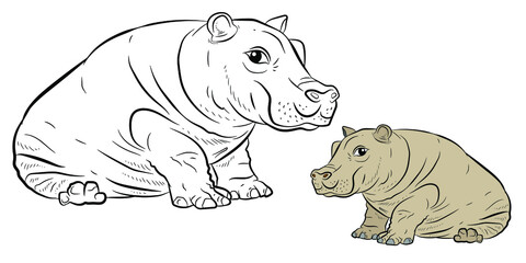 In the animal world. An image of an African hippo. Black and white drawing, coloring. Vector drawing.
