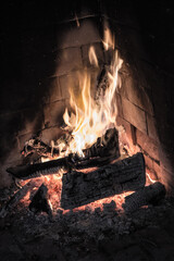 Hoguera