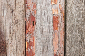 Old wood texture background. Vintage and retro fence backdrop close-up view photo