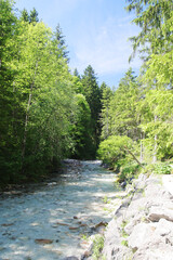 A path through Berchtesgaden National park from Ramsau to Weissbach bei Lofer	