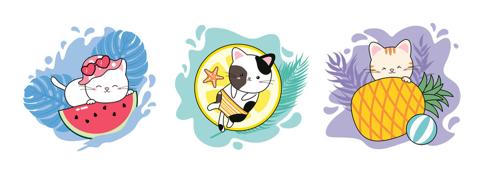Tropical summer concept design of cat and fruit on white background vector illustration