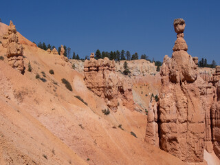 Fototapeta na wymiar Southwest usa Bryce Canyon National Park (a rocky town of red-rose towers and needles in a closed amphitheater)