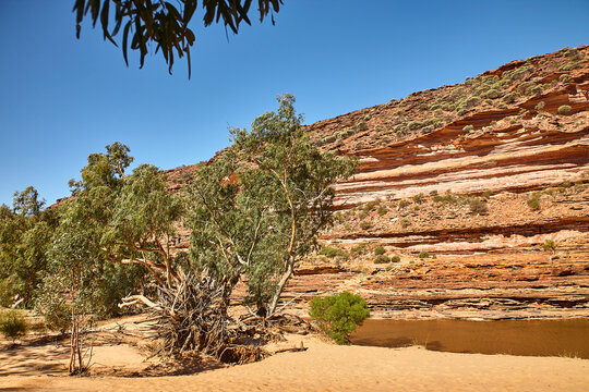 Outback, Stein, Struktur, Textur