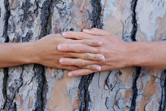 Saving trees one at a time. Shot of someone hugging a tree in the woods.