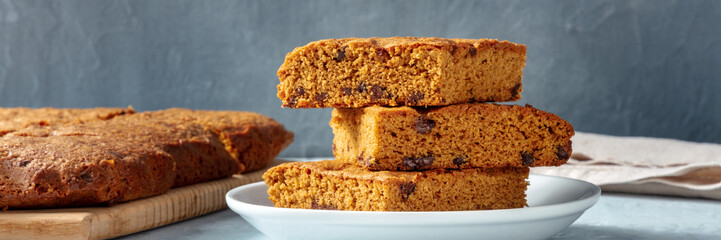 Blondie brownie dessert bars with chocolate chips, a panoramic side view