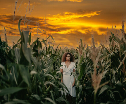 Dramatic Beautiful Curly Woman In A Shawl In A Corn Field At Sunset, The Concept Of Loneliness And Mystery.