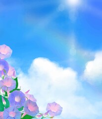 Fototapeta na wymiar 雨上がりにうっすら虹のかかる青空と雲ー蕾のあるあさがおと葉っぱの爽やかなイラストフレーム素材