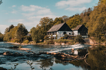 Fototapete bei efototapeten.de bestellen   