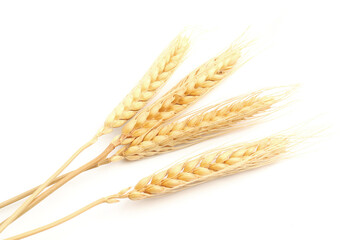 Golden ears of wheat isolated on white background. . oats, rye, barley. Healthy food.