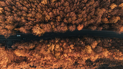 Topshot Wald mit Straße im Herbst