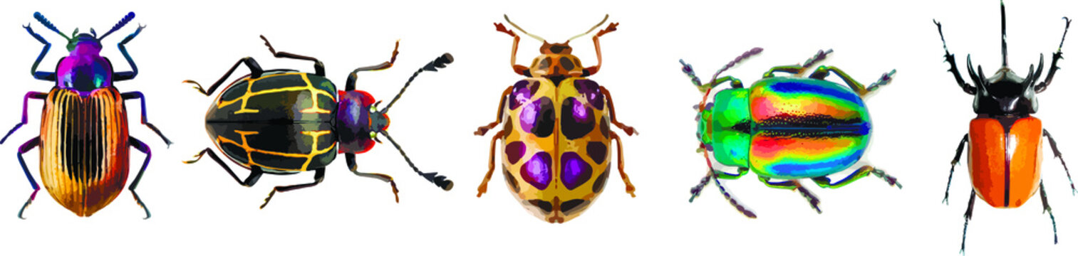 Set of graphical hand-drawn bugs, butterfly
