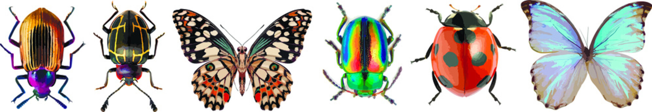 Set of graphical hand-drawn bugs, butterfly