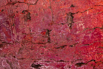 Close-up red brick texture background, high detailed photo
