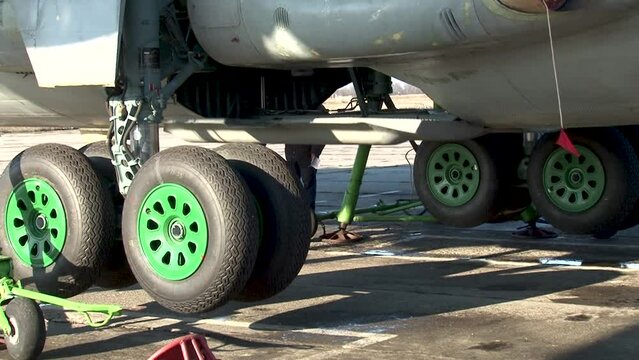Antonov An-12 aircraft (NATO codification cube) on hydraulic lifts. Control check of operability of main landing gear. Main landing gear retracts into fuselage. Service life more than 40 years