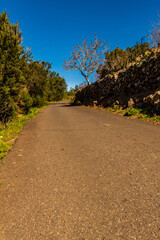 Carretera con vegetación y cielo de fondo en la isla de Tenerife