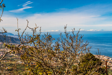&Aacute;rboles con mar y nubes de fondo