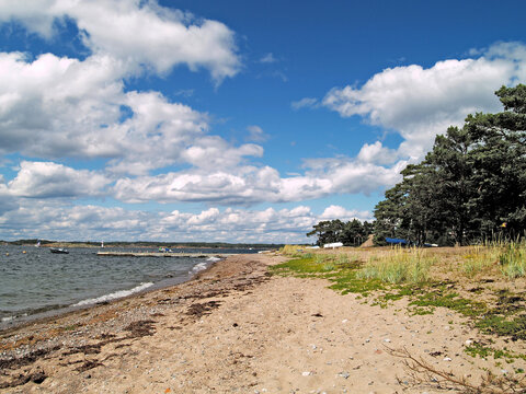 Sandhamn, Stockholm, Archipelago, Wald, Ostsee, Strand, Natur, Schweden, V&auml;rmd&ouml;