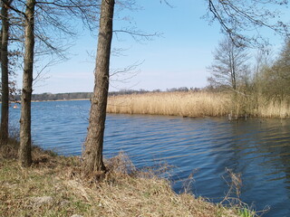 Wolzig, Wolziger See, Brandenburg, Dahme-Spreewald, Dahme-Heideseen, Spreewald, Dahme, 