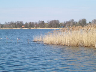 Wolzig, Wolziger See, Brandenburg, Dahme-Spreewald, Dahme-Heideseen, Spreewald, Dahme, 