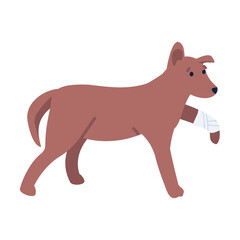 Sad dog with broken leg semi flat color vector character. Standing figure. Full body animal on white. Veterinarian visit simple cartoon style illustration for web graphic design and animation