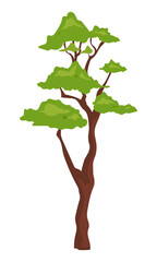 Outdoor bonsai plant semi flat color vector object. Full sized item on white. Park and forest. Element of nature preserve simple cartoon style illustration for web graphic design and animation
