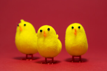 Yellow chicks on red background. Easter chicks.