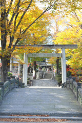 Obraz premium 深谷駅前の滝宮神社 唐沢川にかかる太鼓橋と門前 Takinomiya Shrine in front of Fukaya Station, Taiko Bridge and Monzen over the Karasawa River