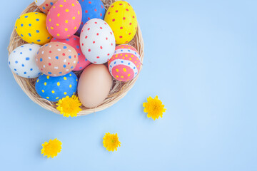 Colorful eggs in a basket with yellow Chrysanthemum flowers on blue background