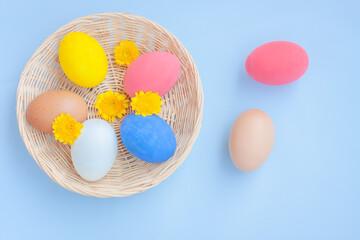 Colorful eggs in a basket with yellow Chrysanthemum flowers on blue background