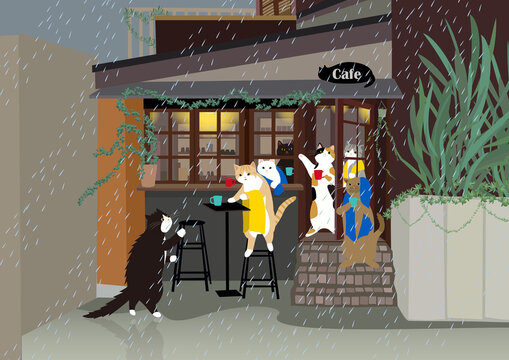なかなか雨が止みません7匹の猫はカフェで雨宿り　濡れた猫に黄色と青色のタオルを提供