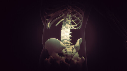 Animation background of painful back - obrazy, fototapety, plakaty