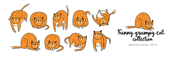 Red Cat Character. Cat Poses and Emotions Set. Cute, Lazy and Grumpy Kitty. Vector Collection with Funny Ginger Cat in Different Poses. Doodle Cartoon Illustrations Isolated on White