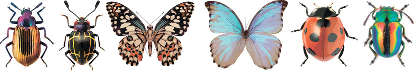 Set of graphical hand-drawn bugs, butterfly.